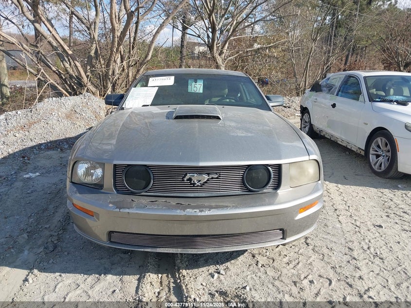 2008 Ford Mustang Gt Premium VIN: 1ZVHT82HX85141214 Lot: 43779151