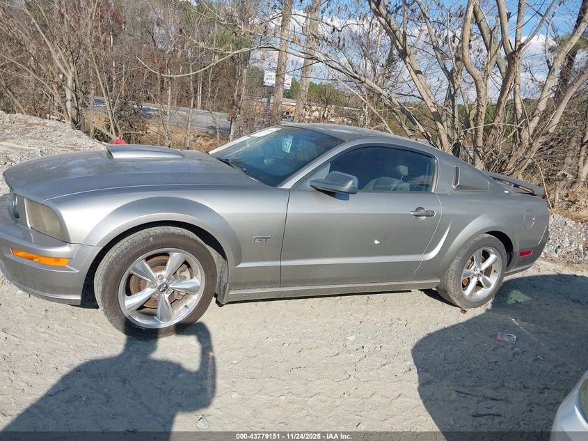 2008 Ford Mustang Gt Premium VIN: 1ZVHT82HX85141214 Lot: 43779151