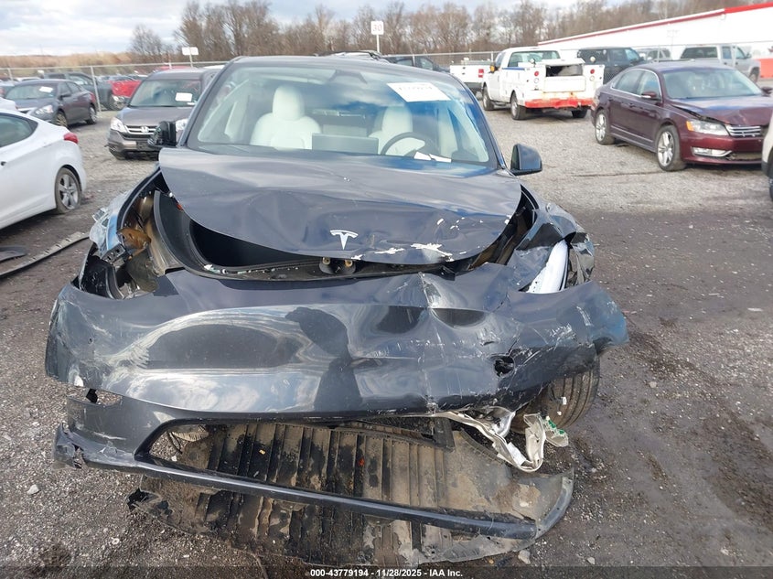 2025 Tesla Model Y Long Range Dual Motor Rear-Wheel Drive VIN: 7SAYGDED0SF267681 Lot: 43779194