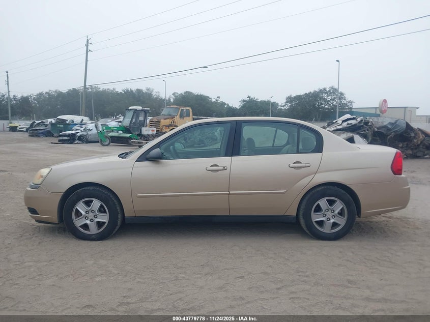 2005 Chevrolet Malibu Ls VIN: 1G1ZT54815F101105 Lot: 43779778