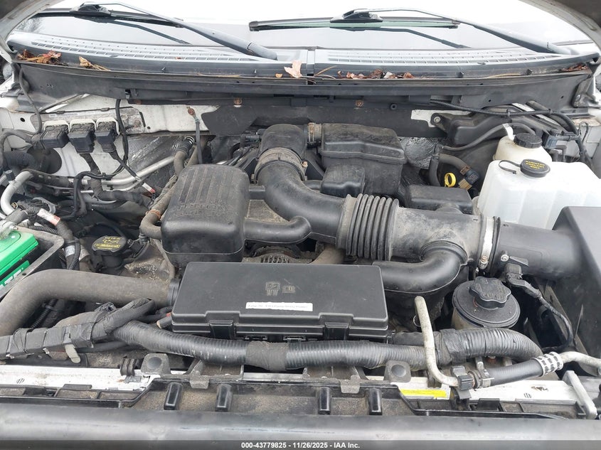 2010 Ford F-150 Fx4/Lariat/Xl/Xlt VIN: 1FTFX1EV5AKE27213 Lot: 43779825