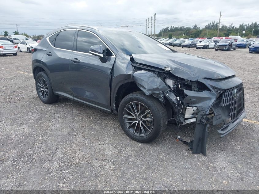 2025 Lexus NX 250