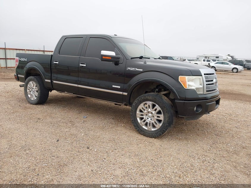 FORD F-150 PLATINUM