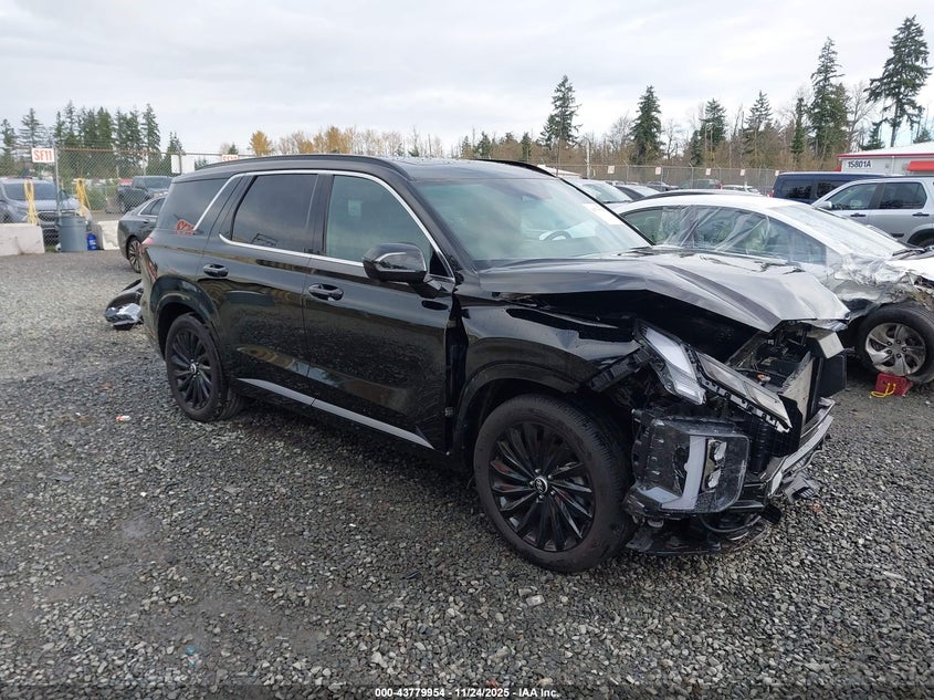HYUNDAI PALISADE CALLIGRAPHY NIGHT EDITION