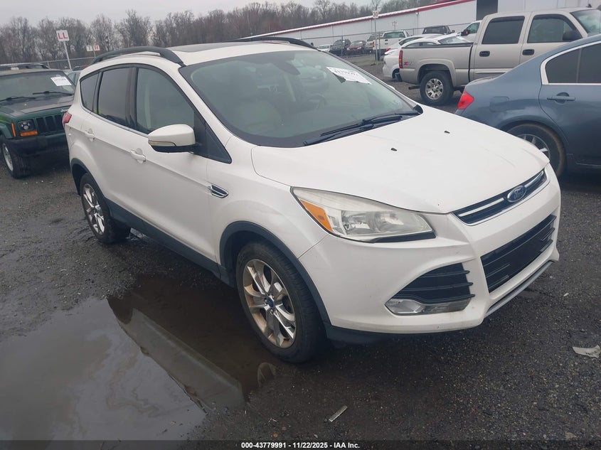 FORD ESCAPE SEL