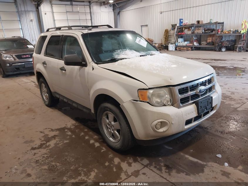 FORD ESCAPE XLT