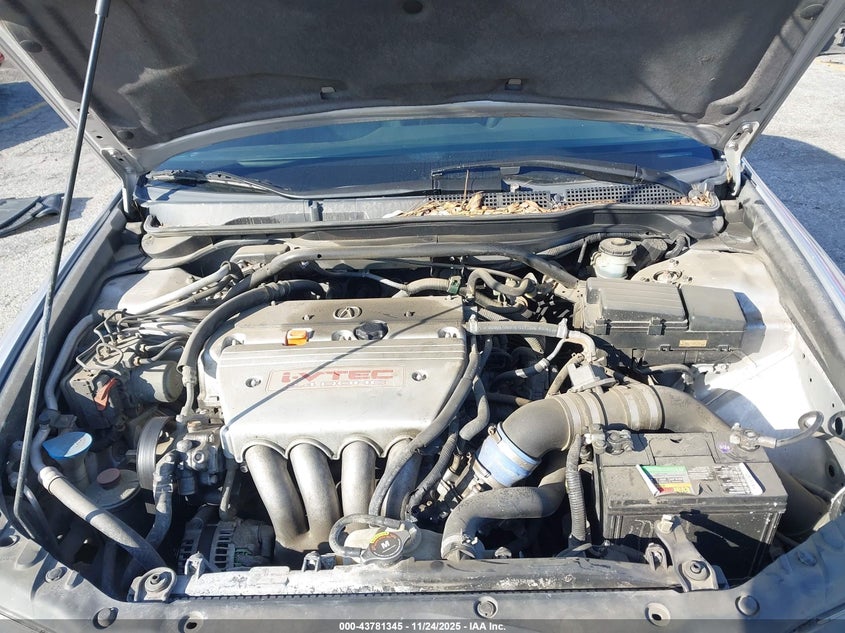 2004 Acura Tsx VIN: JH4CL96894C040800 Lot: 43781345