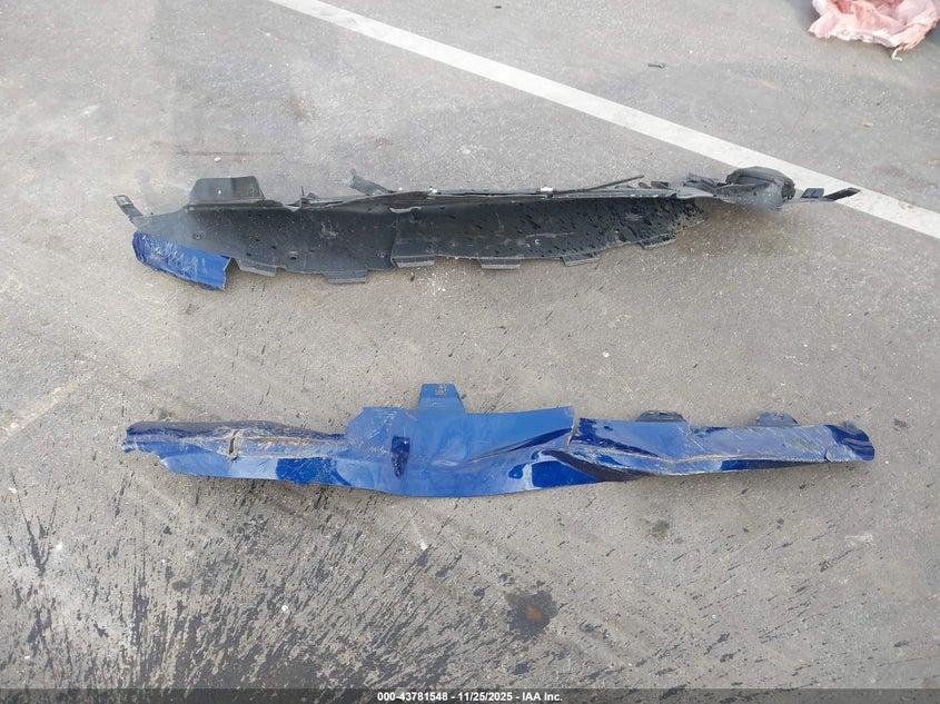 2024 Tesla Model 3 Long Range Dual Motor All-Wheel Drive/Rear-Wheel Drive VIN: 5YJ3E1EAXRF731412 Lot: 43781548