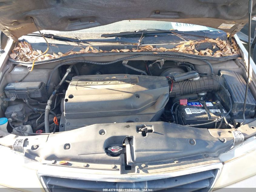 2004 Honda Odyssey Ex-L VIN: 5FNRL189X4B036387 Lot: 43781650