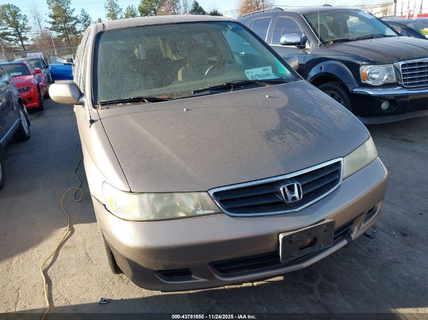 2004 Honda Odyssey Ex-L VIN: 5FNRL189X4B036387 Lot: 43781650