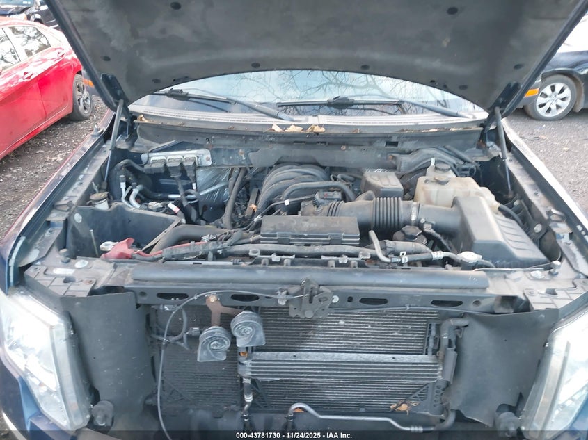 2010 Ford F-150 Xl/Xlt VIN: 1FTEW1E81AFA36612 Lot: 43781730