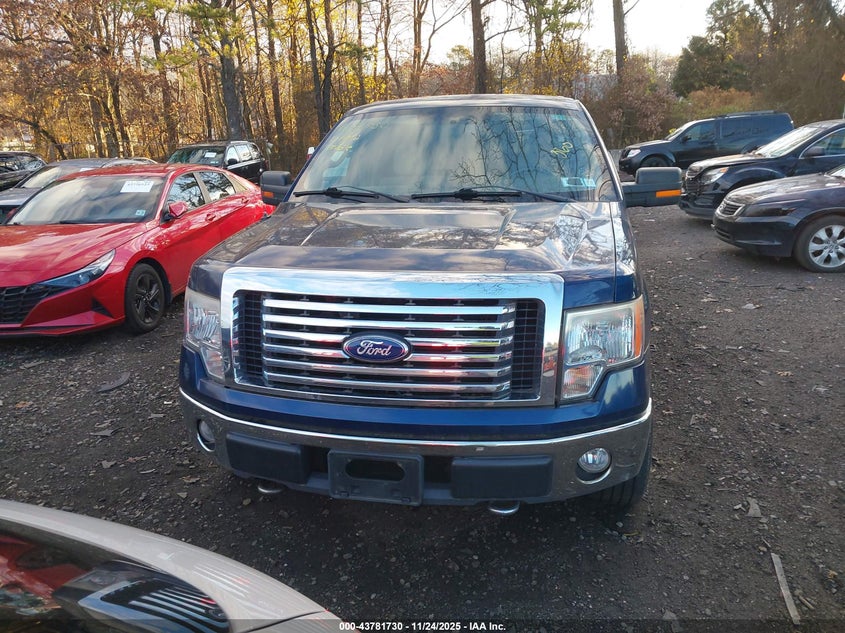 2010 Ford F-150 Xl/Xlt VIN: 1FTEW1E81AFA36612 Lot: 43781730