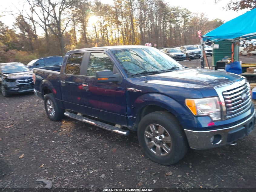 2010 Ford F-150 Xl/Xlt VIN: 1FTEW1E81AFA36612 Lot: 43781730