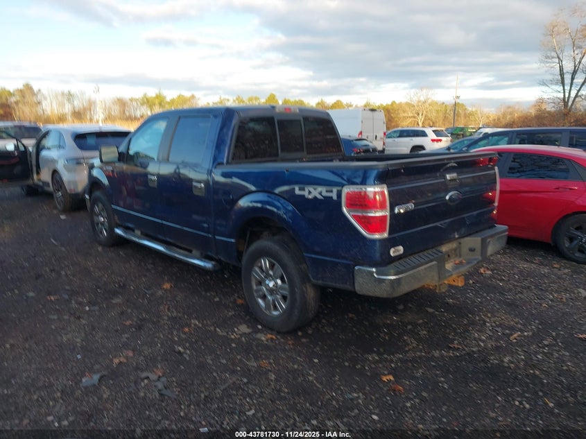 2010 Ford F-150 Xl/Xlt VIN: 1FTEW1E81AFA36612 Lot: 43781730