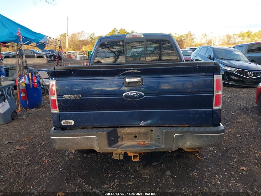 2010 Ford F-150 Xl/Xlt VIN: 1FTEW1E81AFA36612 Lot: 43781730