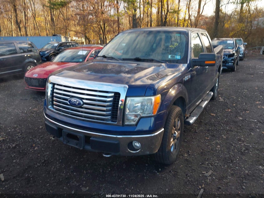 2010 Ford F-150 Xl/Xlt VIN: 1FTEW1E81AFA36612 Lot: 43781730