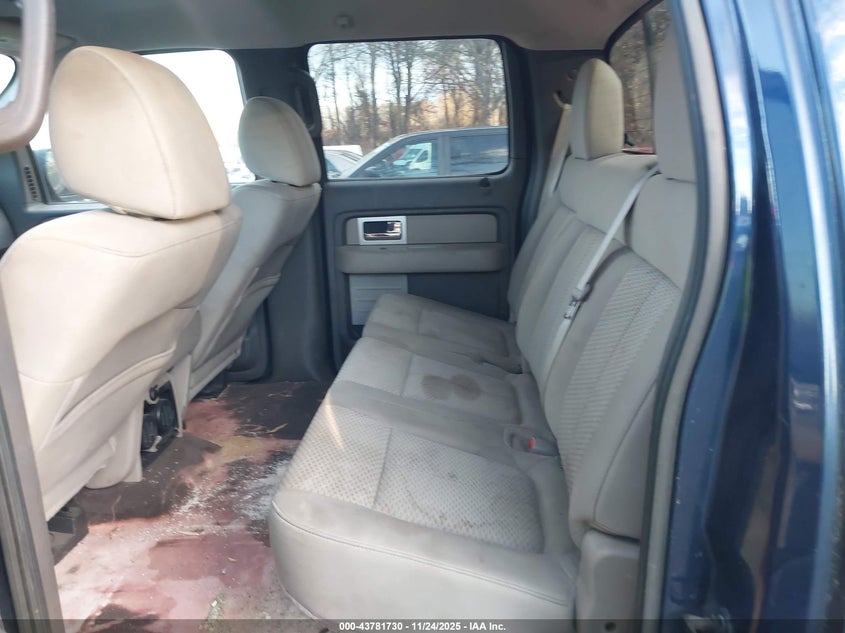 2010 Ford F-150 Xl/Xlt VIN: 1FTEW1E81AFA36612 Lot: 43781730