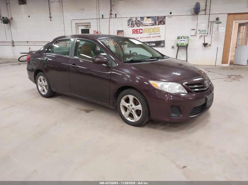 TOYOTA COROLLA LE SPECIAL EDITION