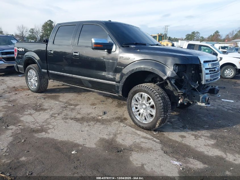 FORD F-150 PLATINUM