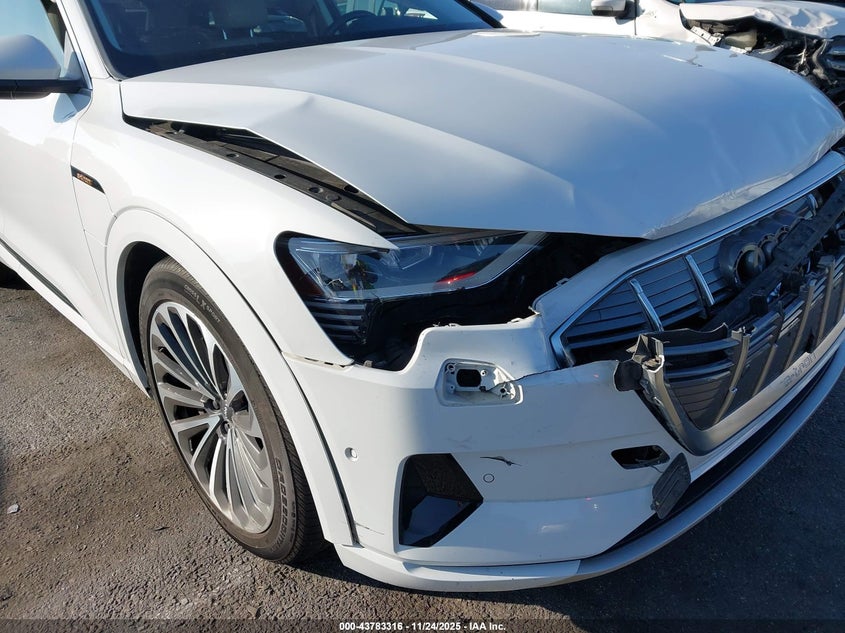 2019 Audi E-Tron Premium Plus VIN: WA1VABGE3KB018994 Lot: 43783316