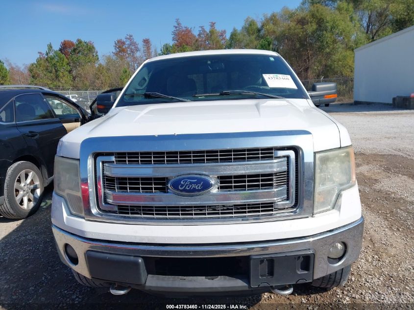 2013 Ford F-150 Xlt VIN: 1FTFW1ET7DFB87533 Lot: 43783460