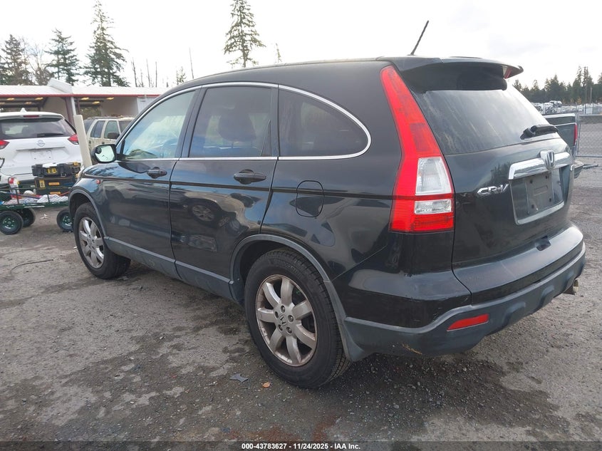JHLRE48727C031666 2007 HONDA CR-V photo no. 3
