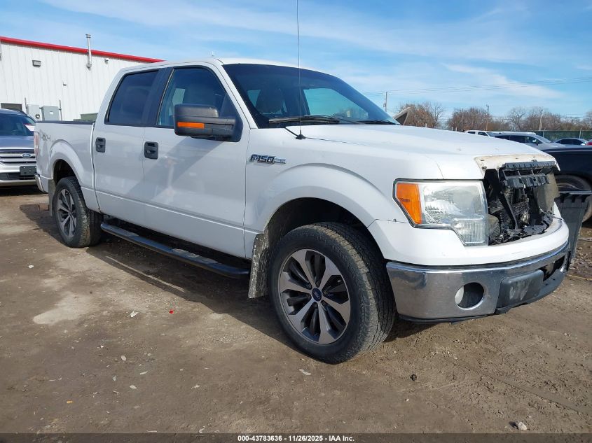 FORD F-150 FX4/HARLEY-DAVIDSON/KING RANCH/LARIAT/PLATINUM/XL/XLT