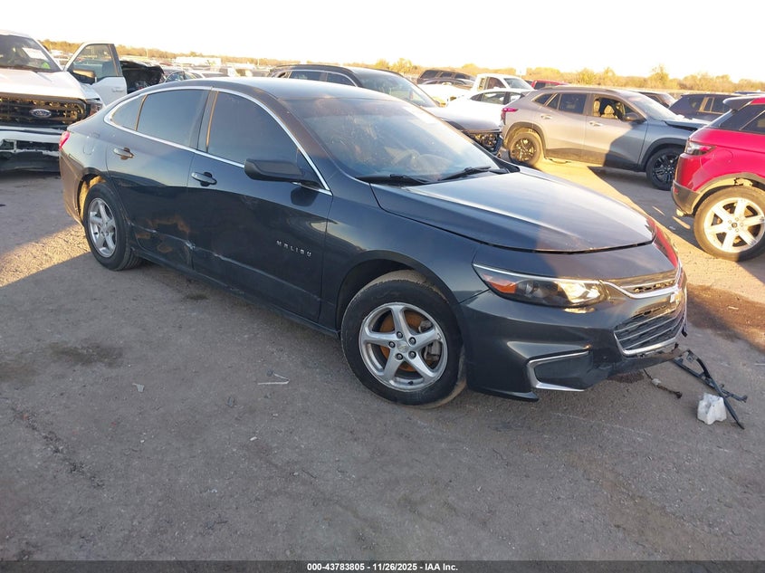 CHEVROLET MALIBU 1LS