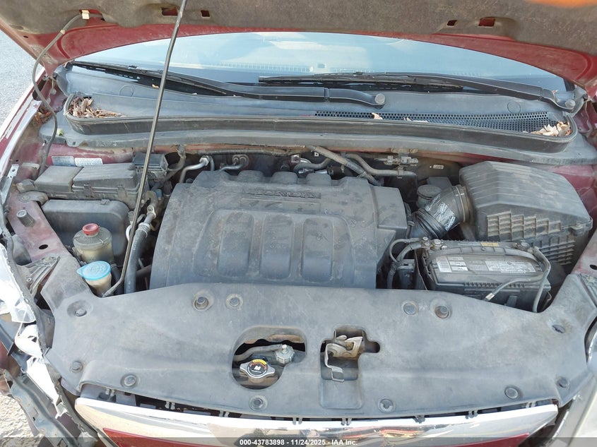 2005 Honda Odyssey Ex-L VIN: 5FNRL38725B034306 Lot: 43783898