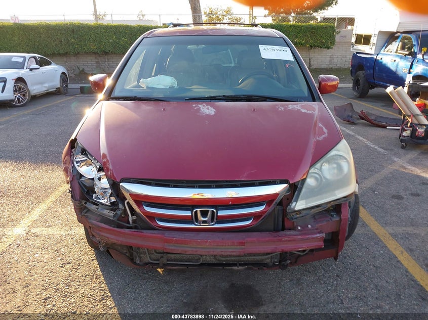 2005 Honda Odyssey Ex-L VIN: 5FNRL38725B034306 Lot: 43783898