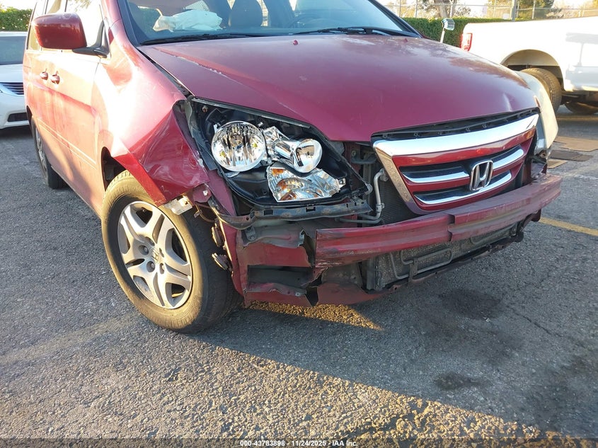 2005 Honda Odyssey Ex-L VIN: 5FNRL38725B034306 Lot: 43783898