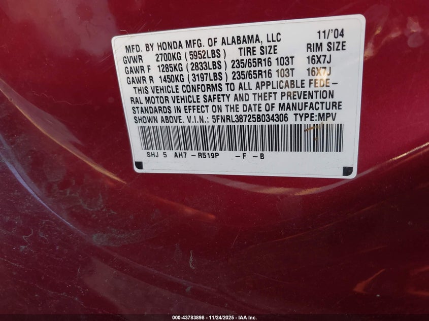 2005 Honda Odyssey Ex-L VIN: 5FNRL38725B034306 Lot: 43783898