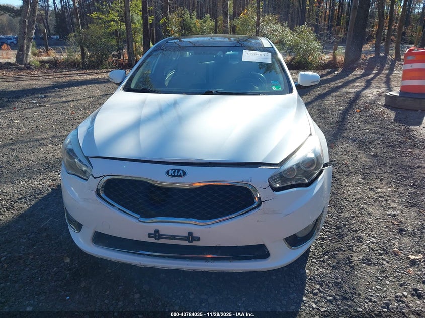 2014 Kia Cadenza Premium VIN: KNALN4D7XE5129156 Lot: 43784035