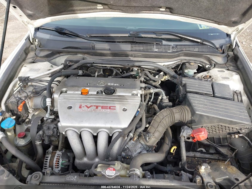 2005 Acura Tsx VIN: JH4CL96845C017393 Lot: 43784036