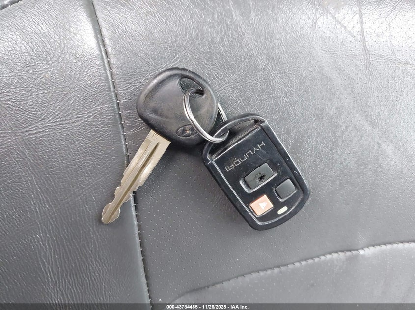 2003 Hyundai Santa Fe Gls/Lx VIN: KM8SC73D33U473066 Lot: 43784485