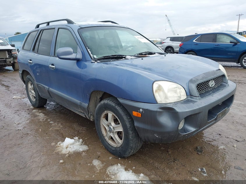 2003 Hyundai Santa Fe Gls/Lx VIN: KM8SC73D33U473066 Lot: 43784485