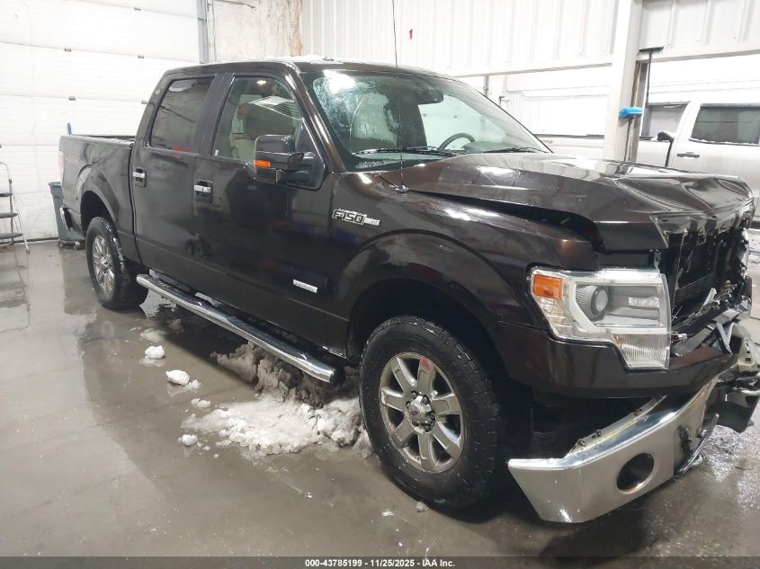 FORD F-150 XLT