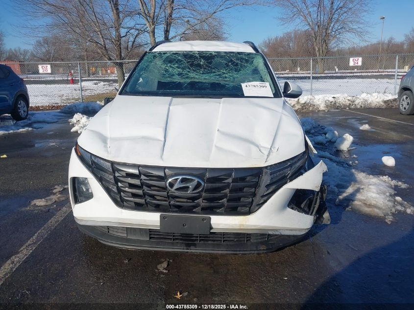 2024 Hyundai Tucson Sel VIN: 5NMJB3DE5RH345382 Lot: 43785309
