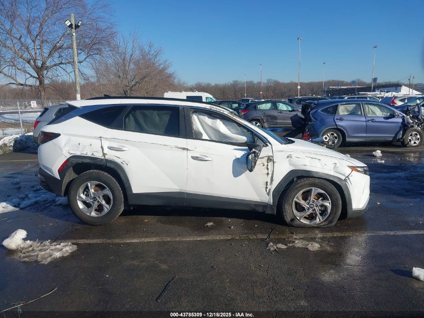 2024 Hyundai Tucson Sel VIN: 5NMJB3DE5RH345382 Lot: 43785309
