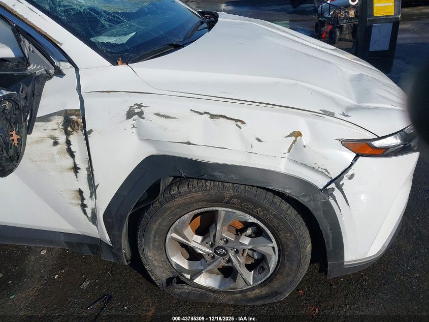2024 Hyundai Tucson Sel VIN: 5NMJB3DE5RH345382 Lot: 43785309