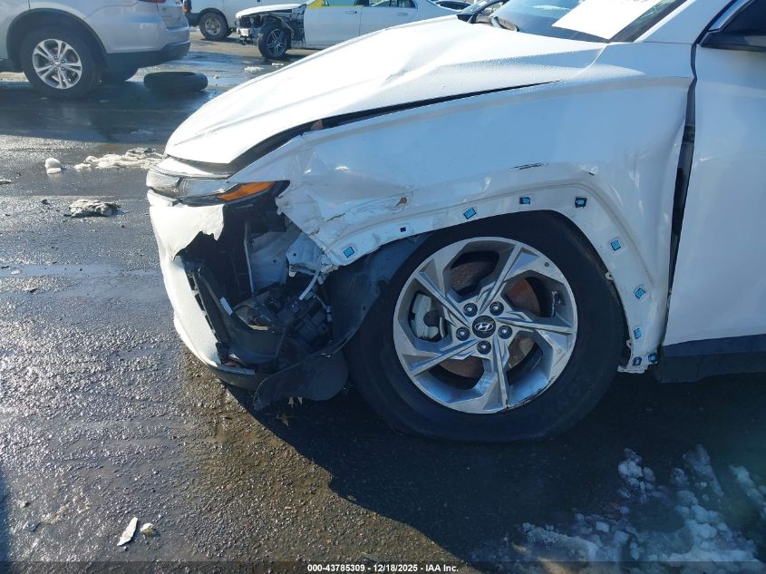 2024 Hyundai Tucson Sel VIN: 5NMJB3DE5RH345382 Lot: 43785309