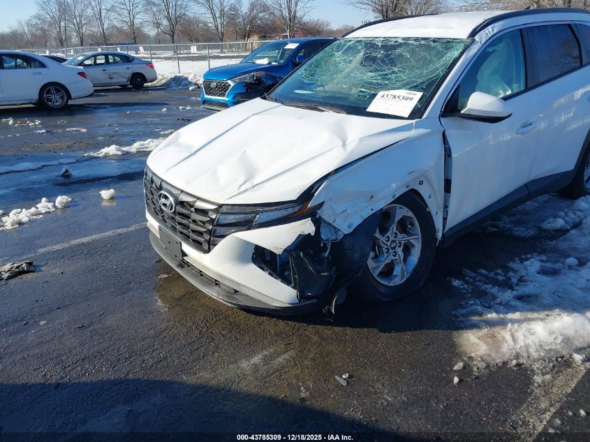 2024 Hyundai Tucson Sel VIN: 5NMJB3DE5RH345382 Lot: 43785309