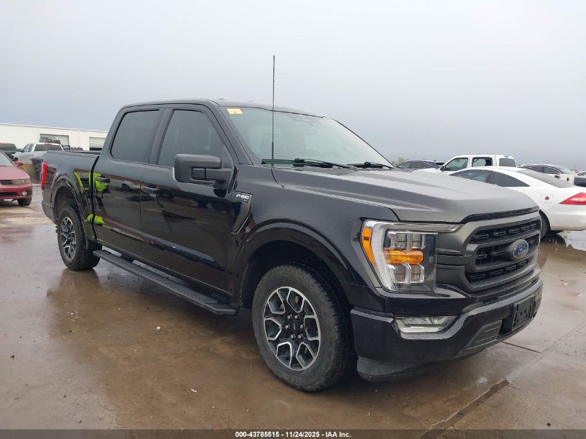 FORD F-150 XLT