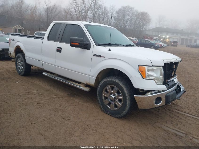 FORD F-150 XLT