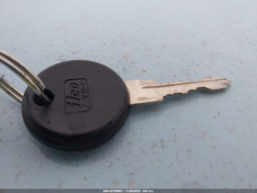 1981 Volkswagen Rabbit L Custom VIN: 1VWBG0174BV213097 Lot: 43786063