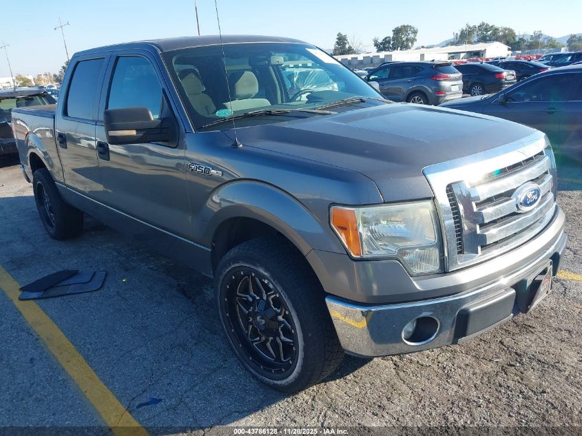 FORD F-150 XLT