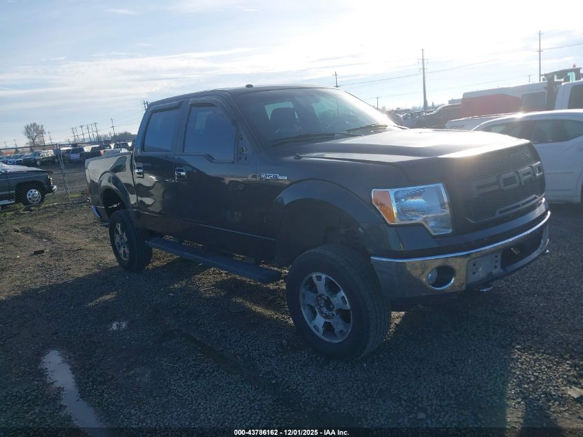 FORD F-150 FX4/HARLEY-DAVIDSON/KING RANCH/LARIAT/PLATINUM/XL/XLT