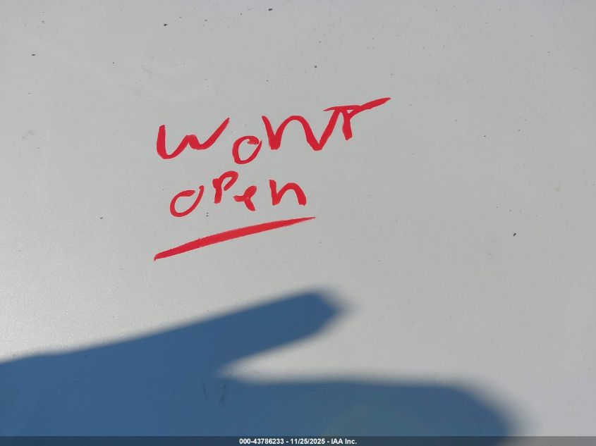 2023 Tesla Model 3 Rear-Wheel Drive VIN: 5YJ3E1EA4PF447853 Lot: 43786233