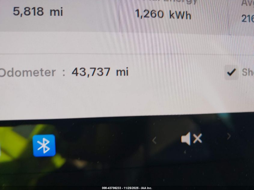 2023 Tesla Model 3 Rear-Wheel Drive VIN: 5YJ3E1EA4PF447853 Lot: 43786233