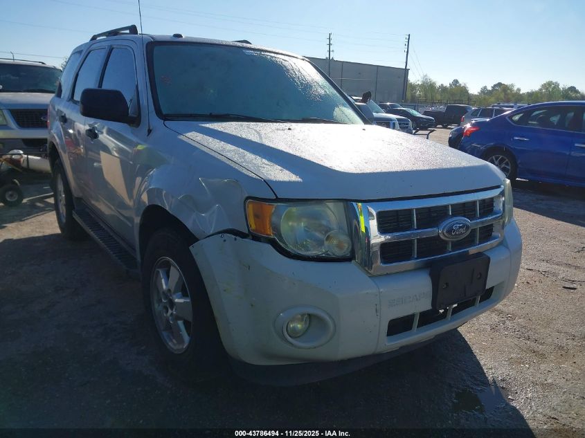 FORD ESCAPE XLT